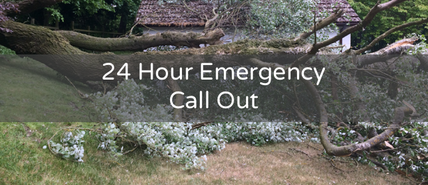 24 Hour Emergency Tree Call Out