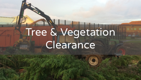 Tree & Vegetation Clearance
